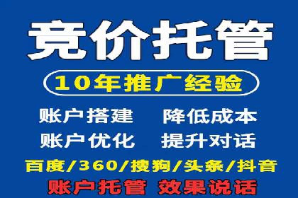 行业领先企业的SEM广告策略与效果分析